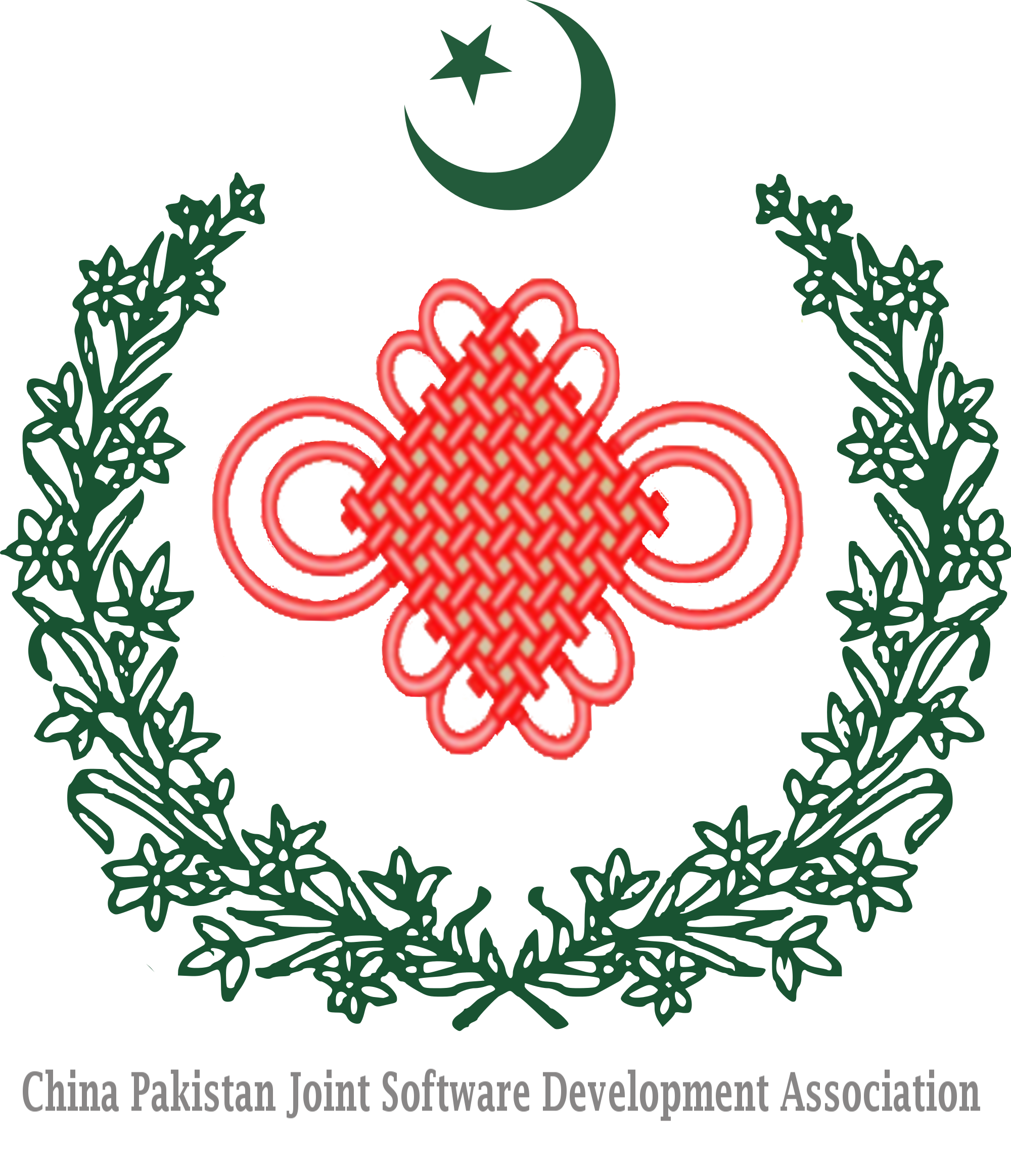 China Pakistan Joint Software Development Association